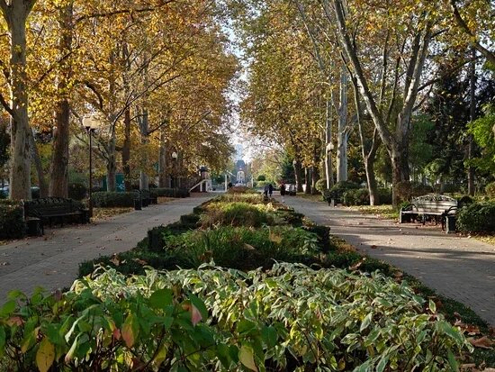    Фото: Юрий Серебренников/BFM Кубань