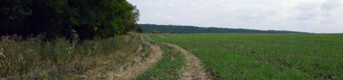    Фото: Сергей Егоров