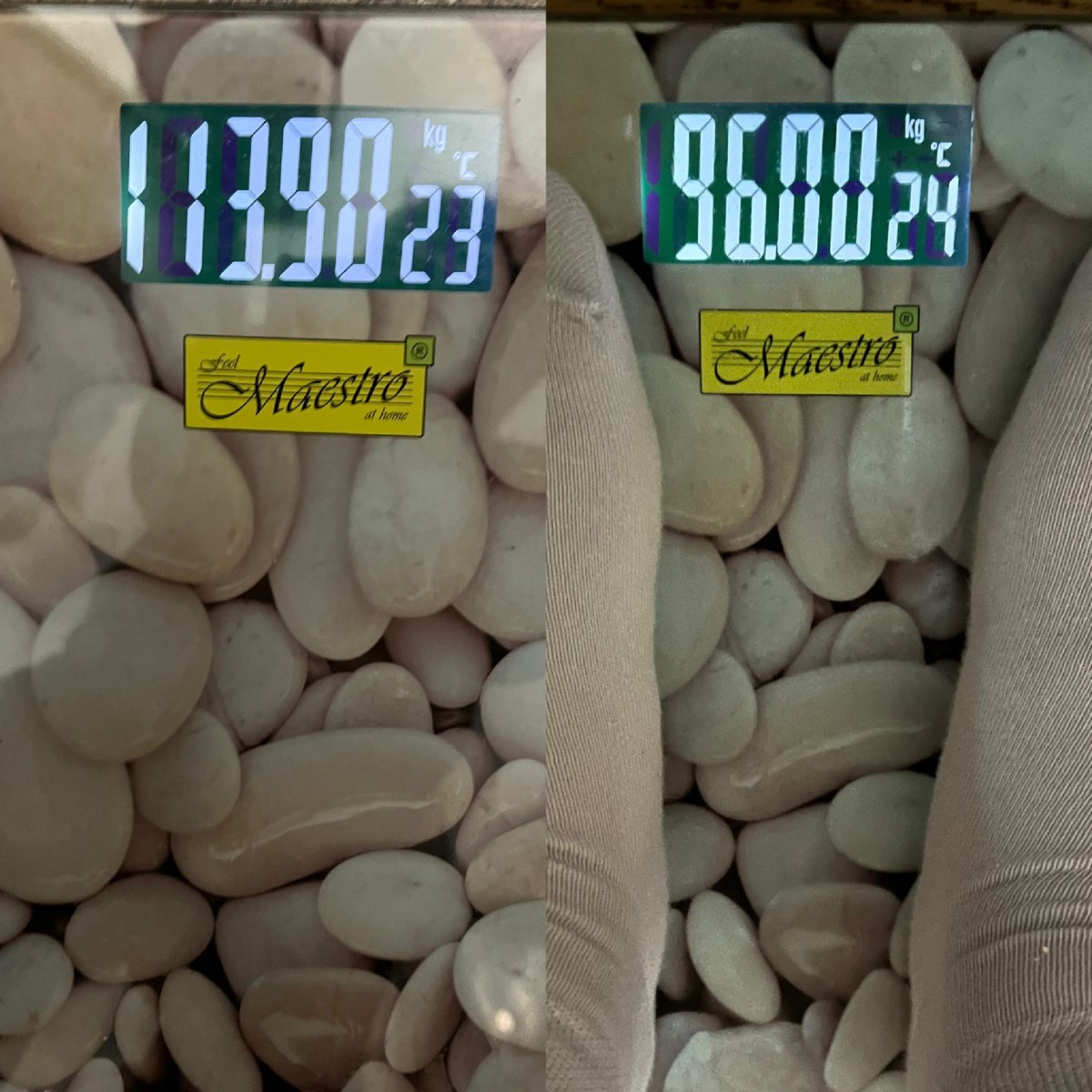 Считаю калории, ем что захочу.