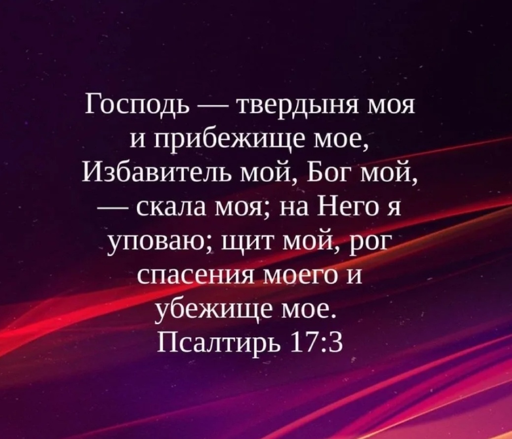 Яндекс.картинки