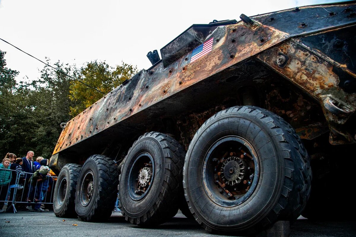 Фото: Варвара Вострокнутова