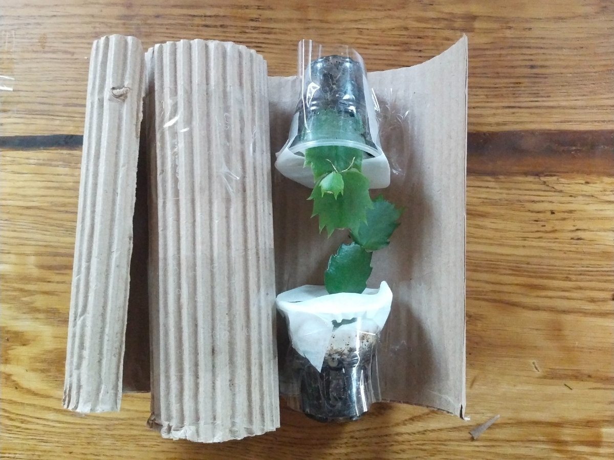 Ни один листик не пострадает.