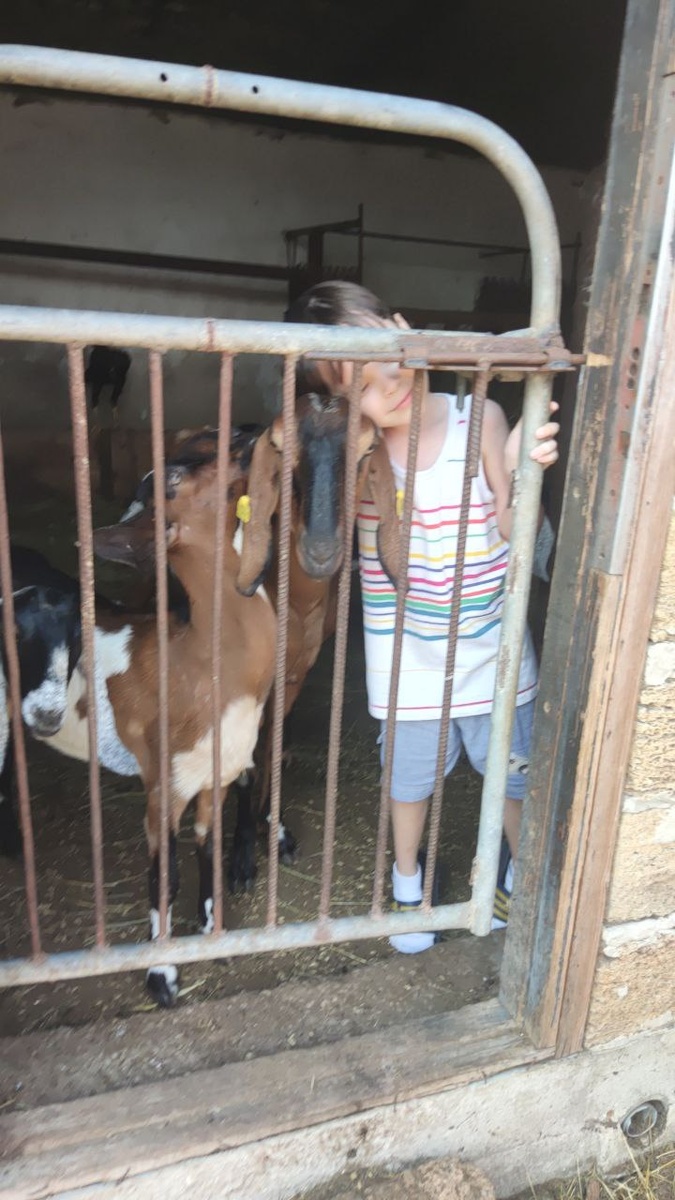 Племяшка Роман