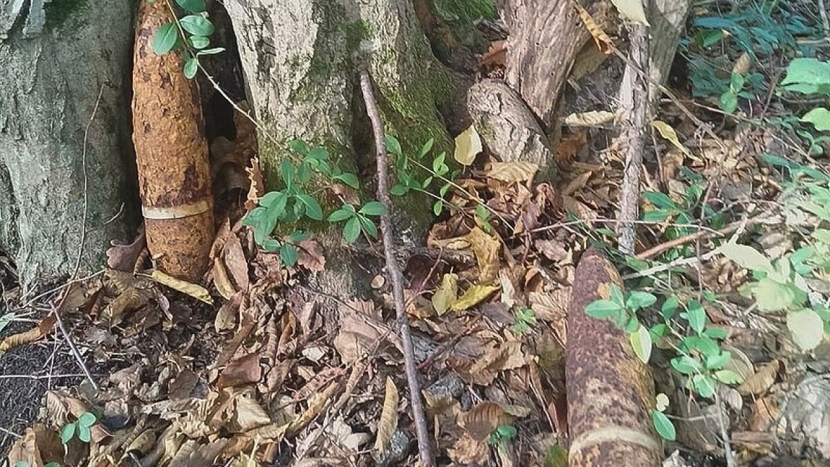    Фото: пресс-служба Росгвардии Краснодарского края