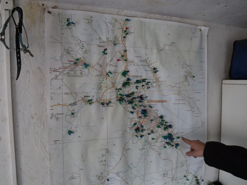    Бродячие собаки в Петрозаводске рискуют выйти из-под контроляЛюдмила Корвякова