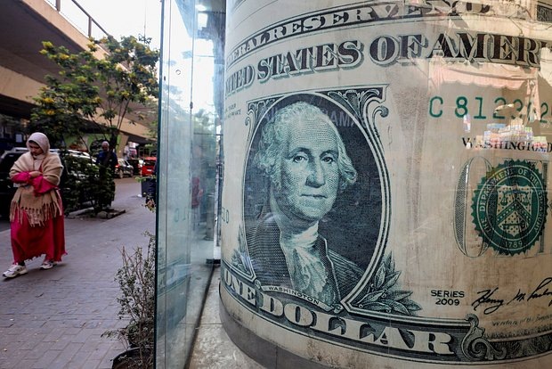 Фото: Mohamed Abd El Ghany / Reuters