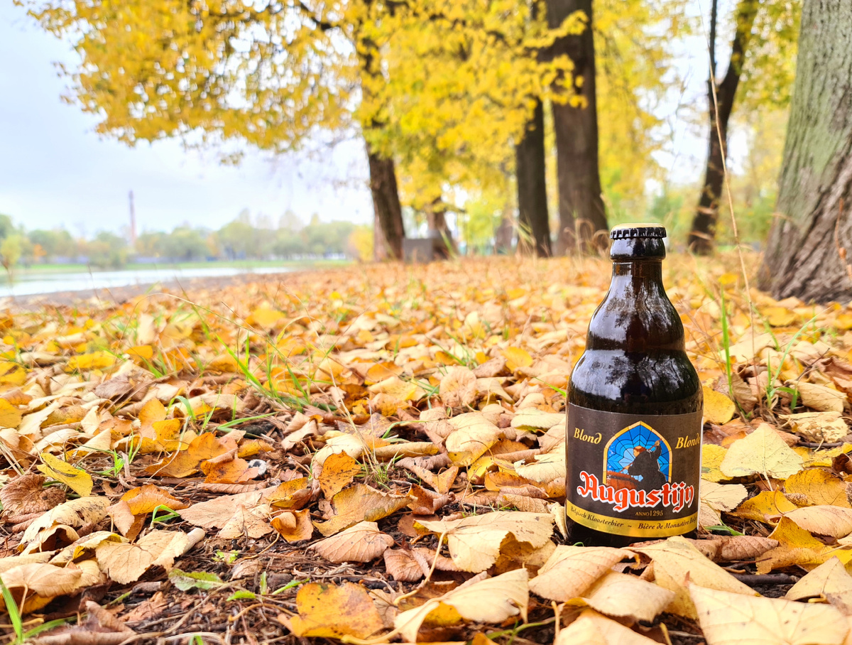 Augustijn Blonde, фото автора