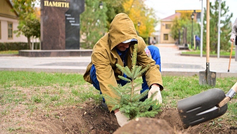      Фото: соцсети главы Будённовского округа
