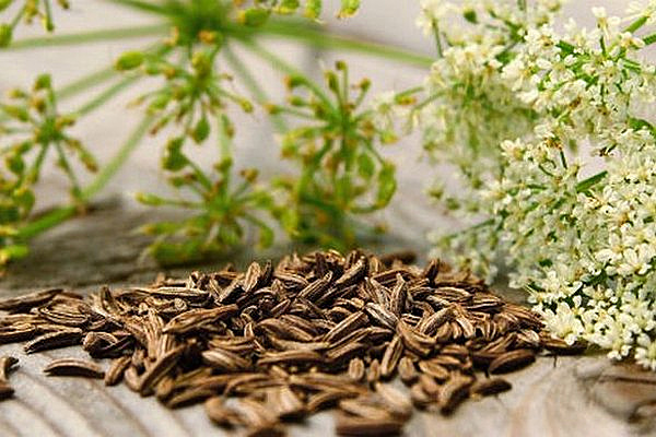 Зира всё о ней