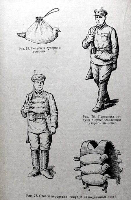 Правила перевозки голубей, СССР, 1937 год. ♦ https://www.facebook.com/yaroslav.piterskiy/posts/pfbid02veY4MyFe45gq3sHkRN8JdLTdDXgijuqJ9UJPkY5jHwekSXfXSNa6ESEmS52Q99M3l