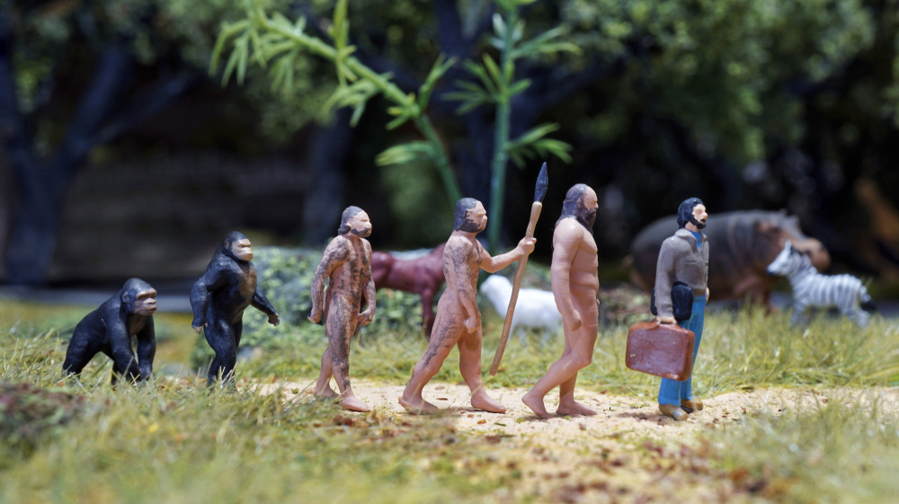    Фото: Sarfina Portrait/Shutterstock/FOTODOM