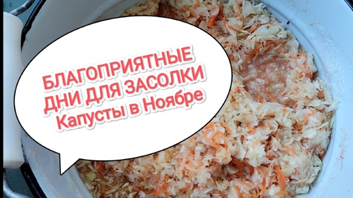 БЛАГОПРИЯТНЫЕ ДНИ для Засолки Капусты в Ноябре!