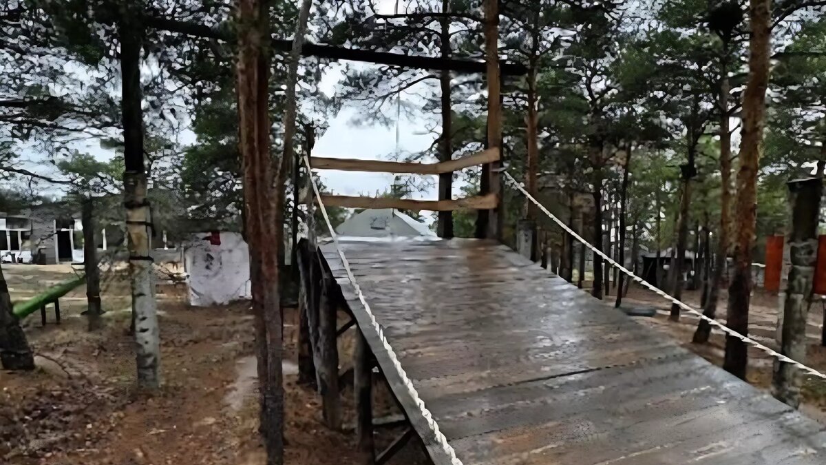     Источник: СУ СКР по Волгоградской области