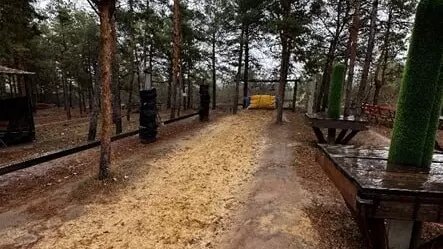     Источник: СУ СКР по Волгоградской области