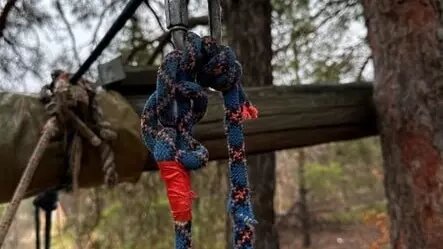     Источник: СУ СКР по Волгоградской области