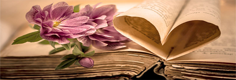 Чтобы начать читать, интересуйтесь сериями книг, сюжет которых заинтересовал 