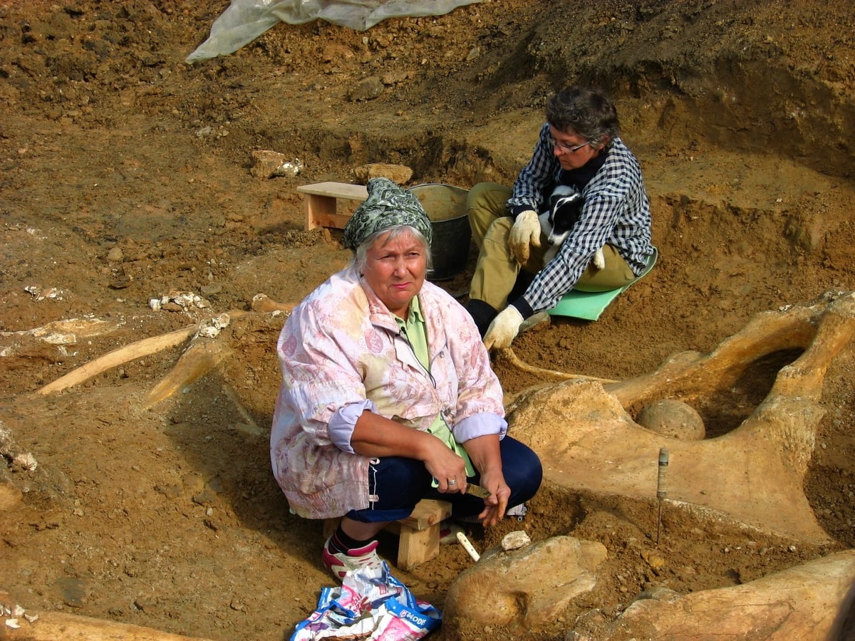 А.К. Швырёва (в центре) и В.Г. Данилевич на раскопках / Фото: архив Ставропольского краевого музея заповедника им. Г.Н. Прозрителева и Г.К. Праве