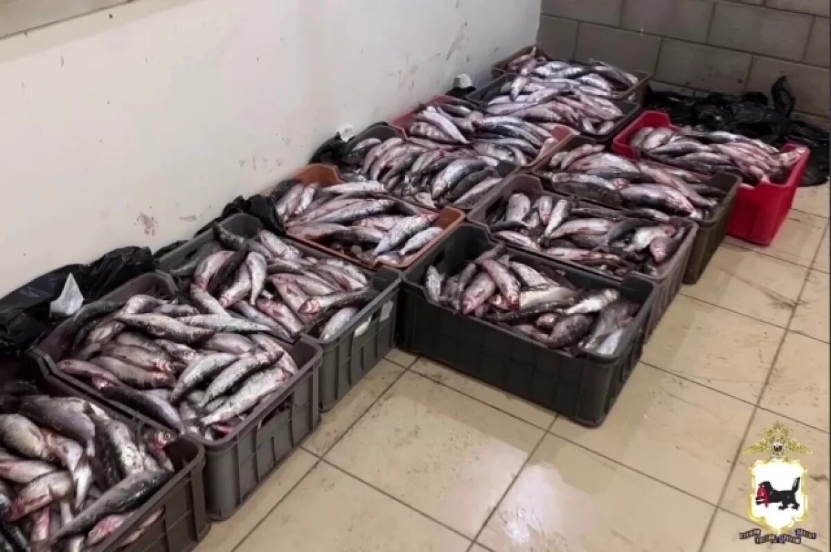    Подозреваемый сказал полиции, что приобрел рыбу для собственного потребления.