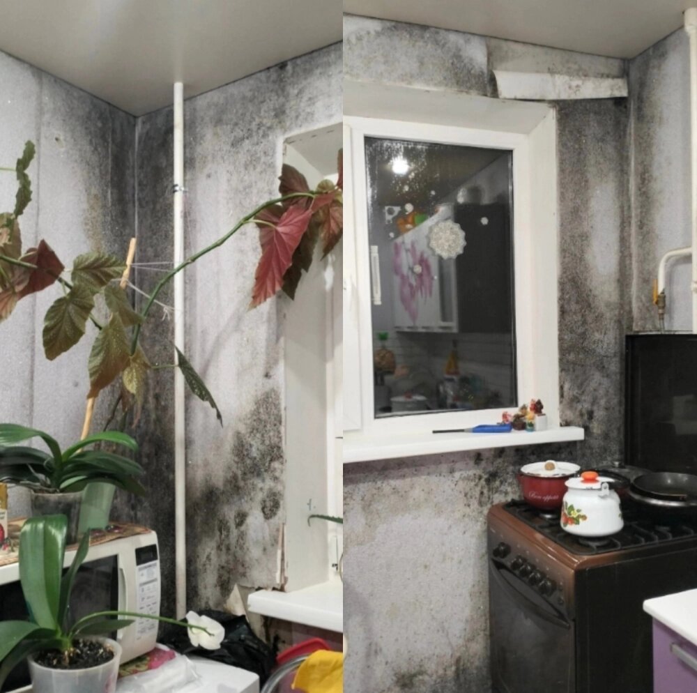    Вот так выглядят стены в домах бывшего ДОСа. Фото: Из личного архива/ предоставлено жильцом дома на улице Каширина