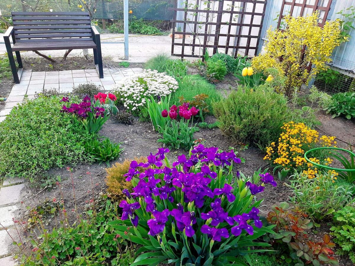 Апрель 2022 года