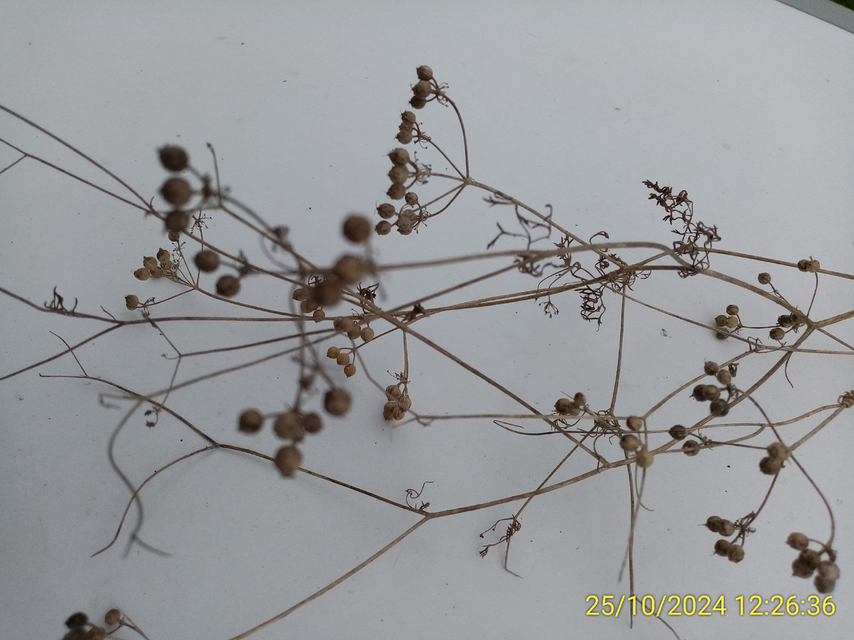 Готова к посадке