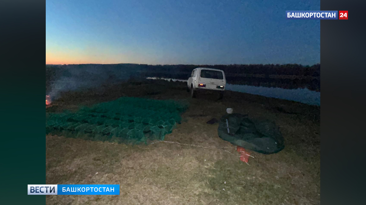    В Башкирии задержали мужчину, который незаконно выловил свыше 600 раков