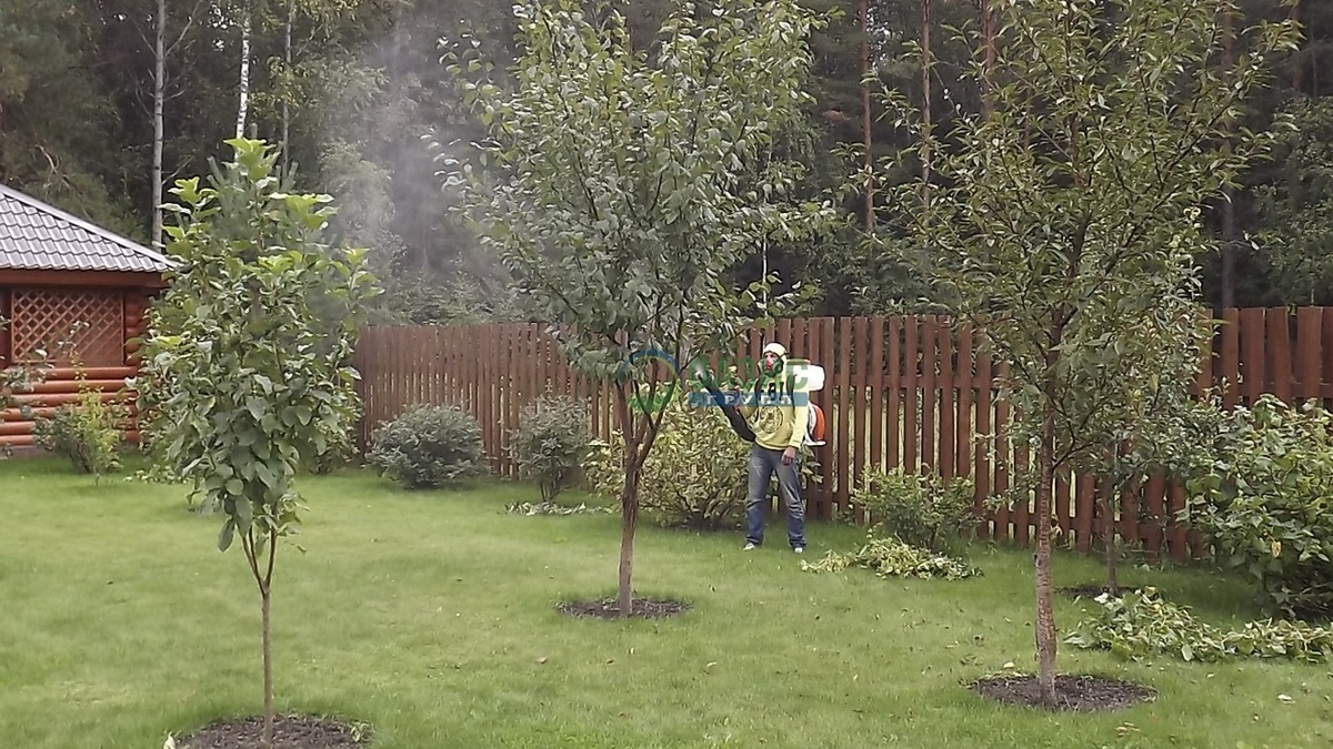  Вот так выглядит правильная обработка сада - тщательно и с умом