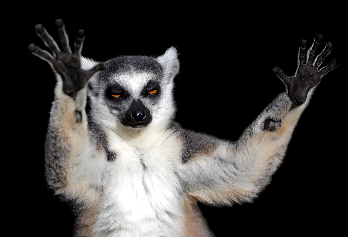 – Только бы свет не отключили... 