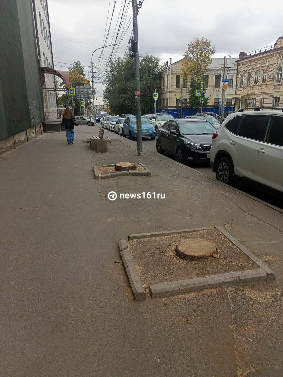 фото из телеграм канала news161ru