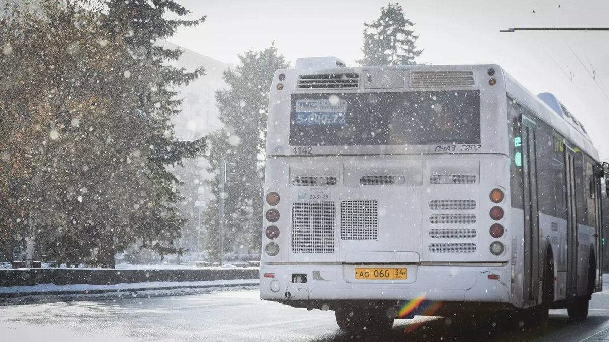     Источник: 1MI