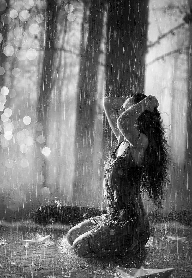 Фото из интернета в свободном доступе 