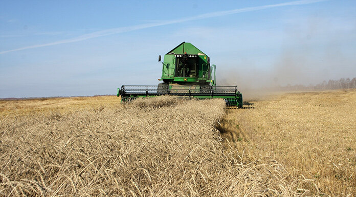    Фото из архива «Континента Сибирь»