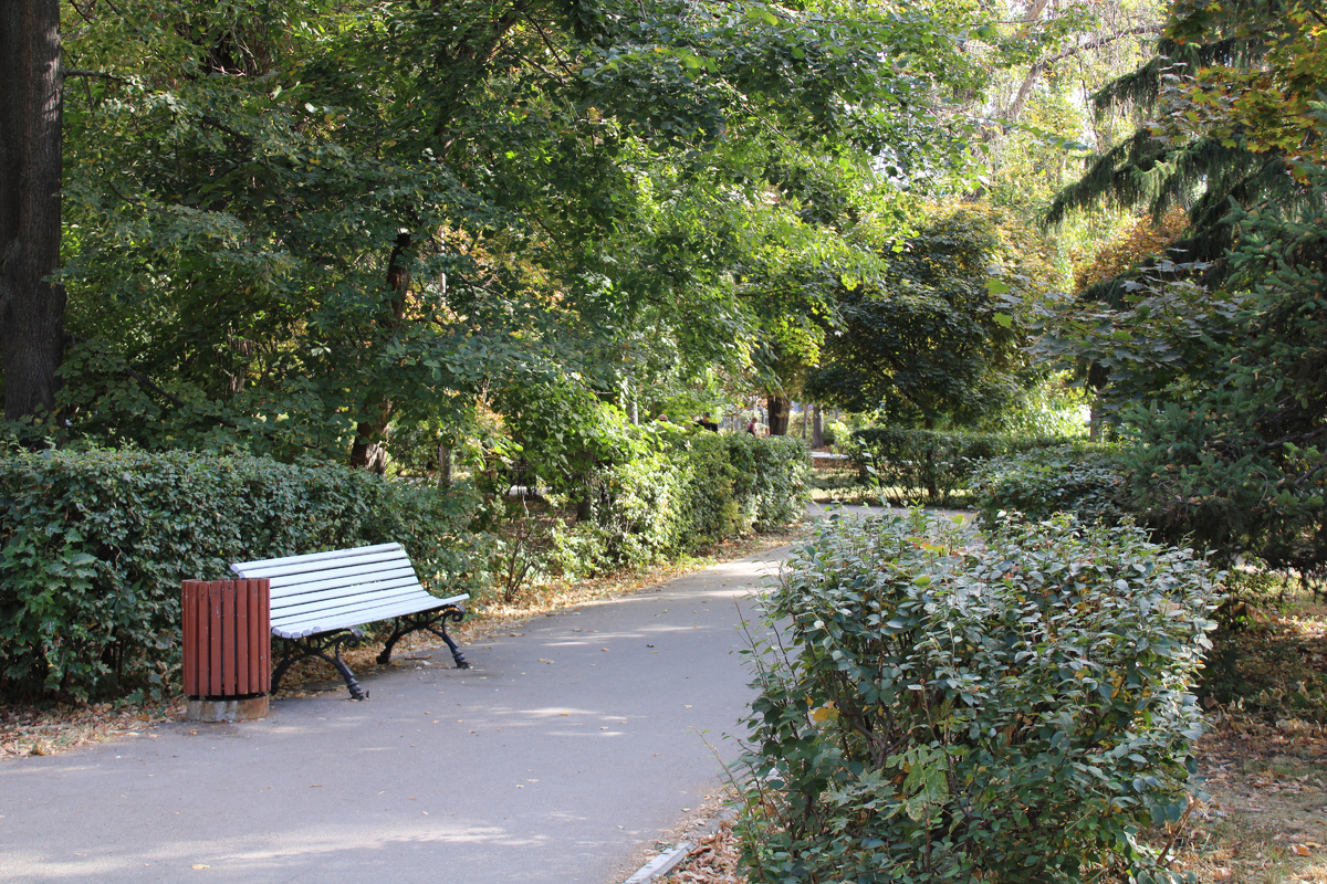 Мне понравилось решение покрасить лавочки в белый цвет, это освежило сквер