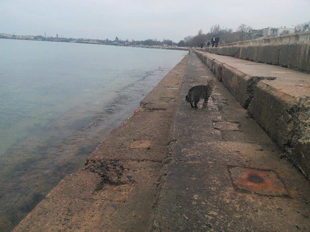 Набережная Терешковой в 2016 году до ремонта еще