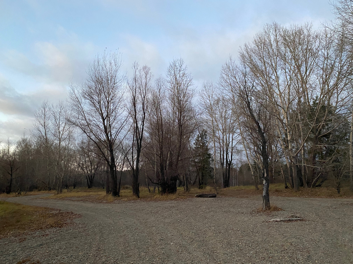 Фотография автора. 