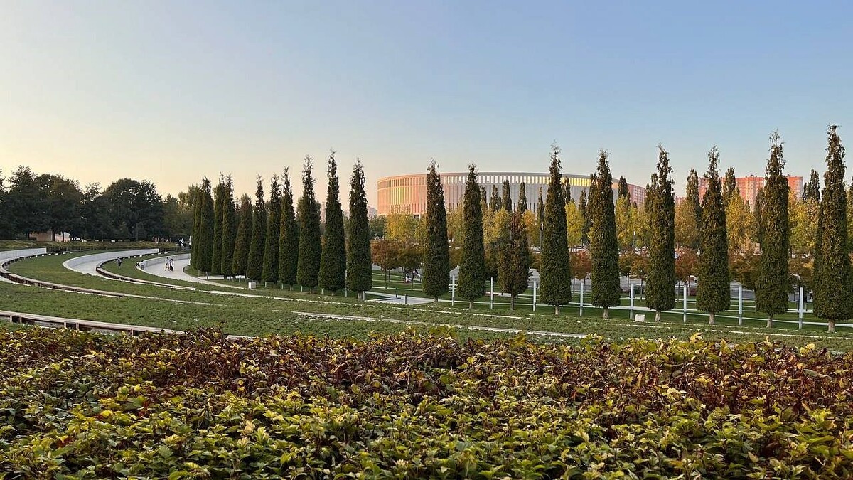    Фото: телеканал «Краснодар»