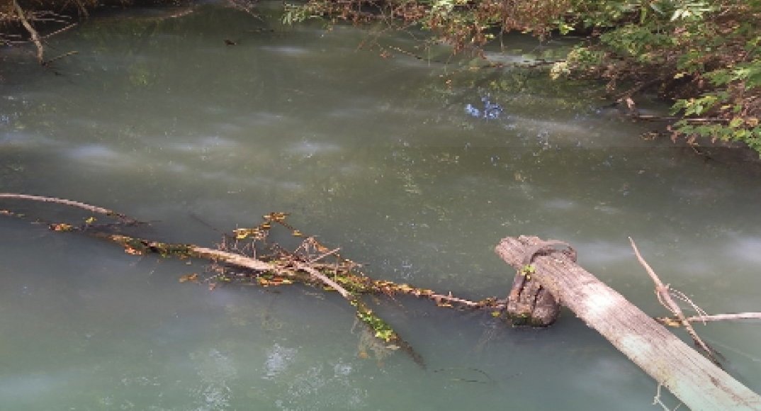    Фото: Росприроднадзор