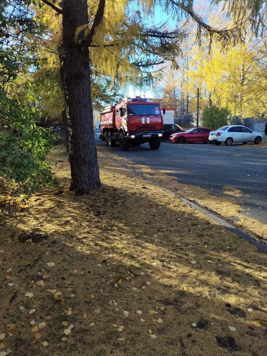     Источник: t.me/vkratse_petrozavodsk