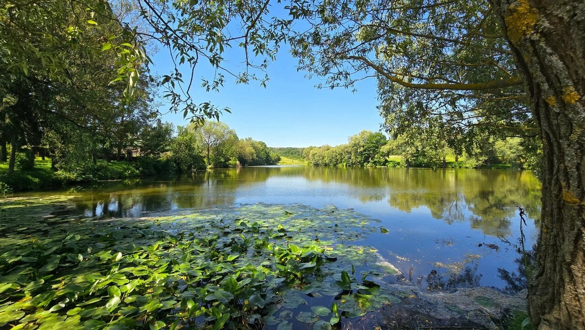 По дороге к Дому Толстого можно увидеть четыре пруда. Раньше здесь ловили рыбу, стирали бельё, работала купальня. Фото: Александр К. / Яндекс Карты