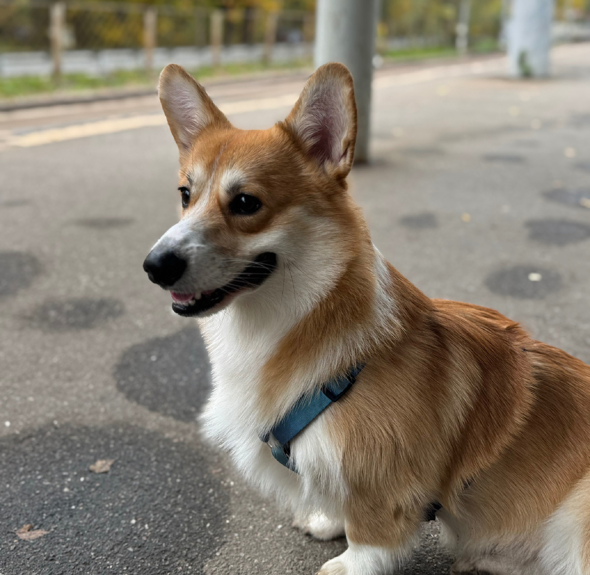 Ждём нашу электричку