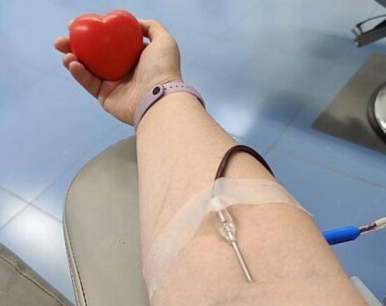    Фото: commons.wikimedia.org/Львова Анастасия