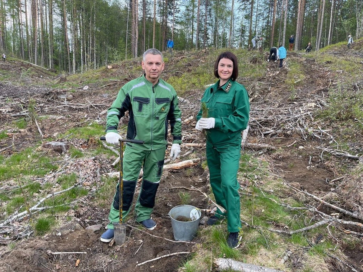    Фото: Янина Свидская в ВК