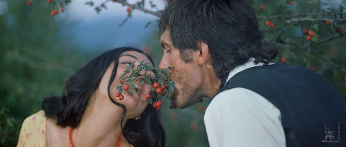 кадр из фильма "Табор уходит в небо" 1976 года, режиссёр Эмиль Лотяну 