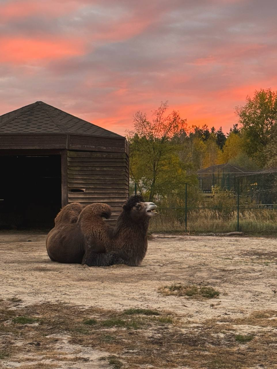 Белгородский зоопарк