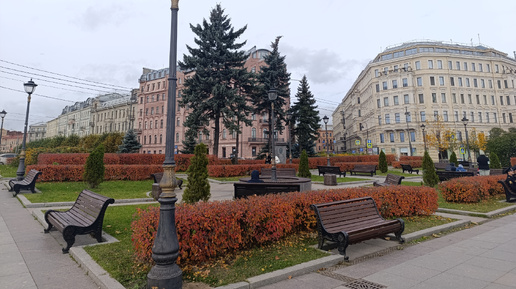 Грустить красиво! Осень в Петербурге.