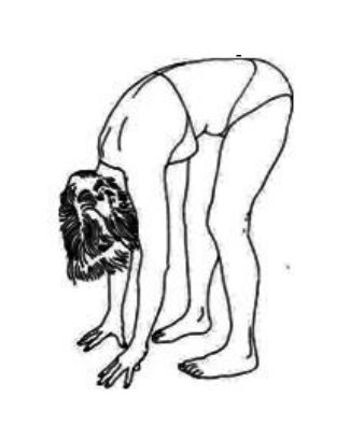 Рисунок из книги: Лоуэн Александр, Лоуэн Лесли "Сборник биоэнергетических опытов"