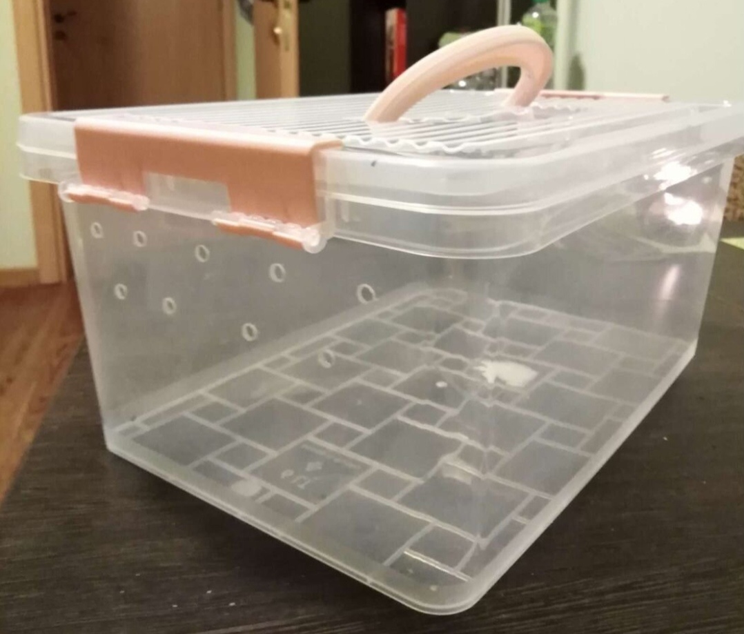 Мое фото 2020 года