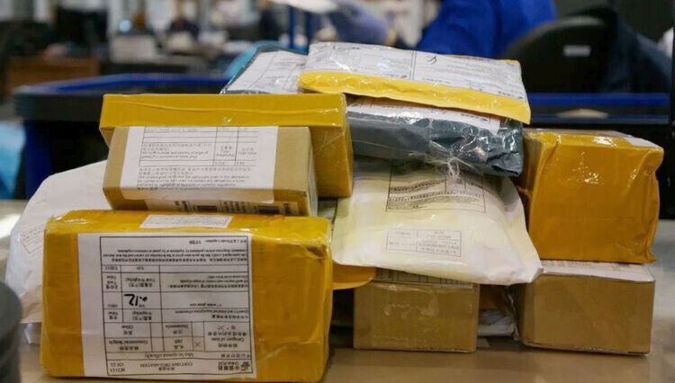 Фото из открытых источников.