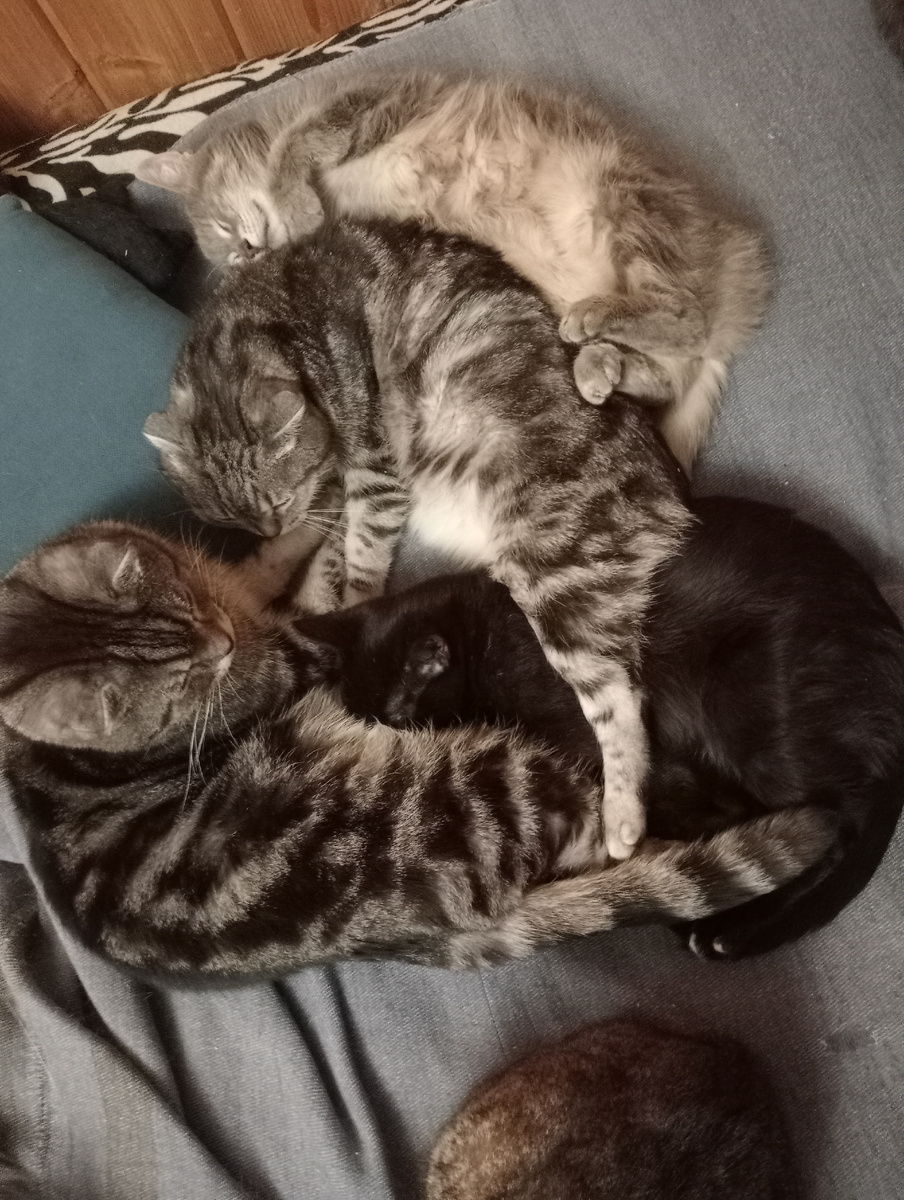 Где-то там Марк спрятался)