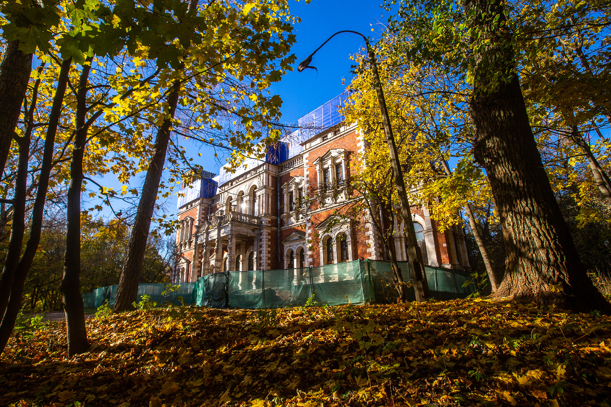 Усадьба Быково. Дворец Воронцовых-Дашковых. Раменский городской округ, Московская область. Фото автора статьи 